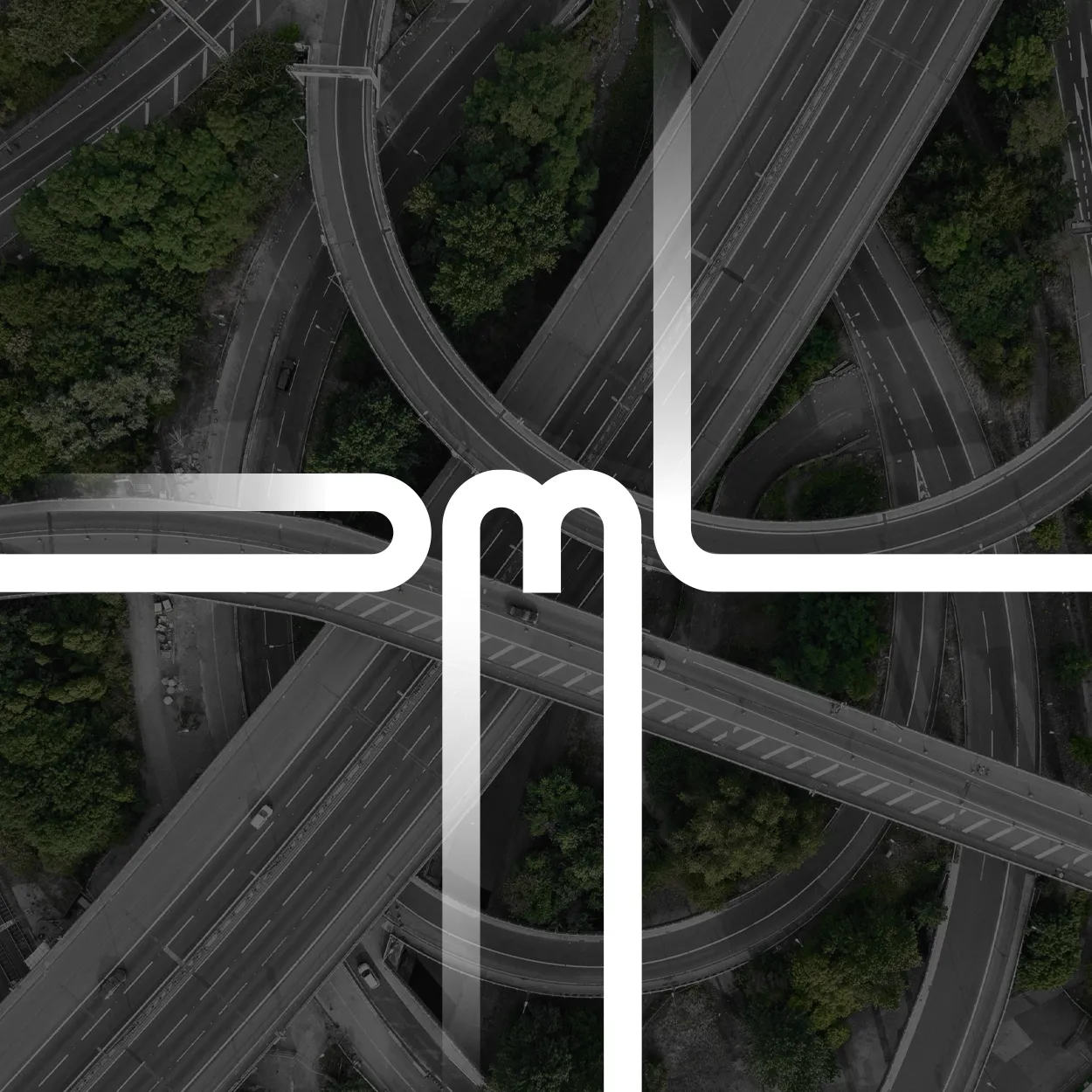 DML